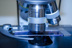 EHR lab integration - microscope